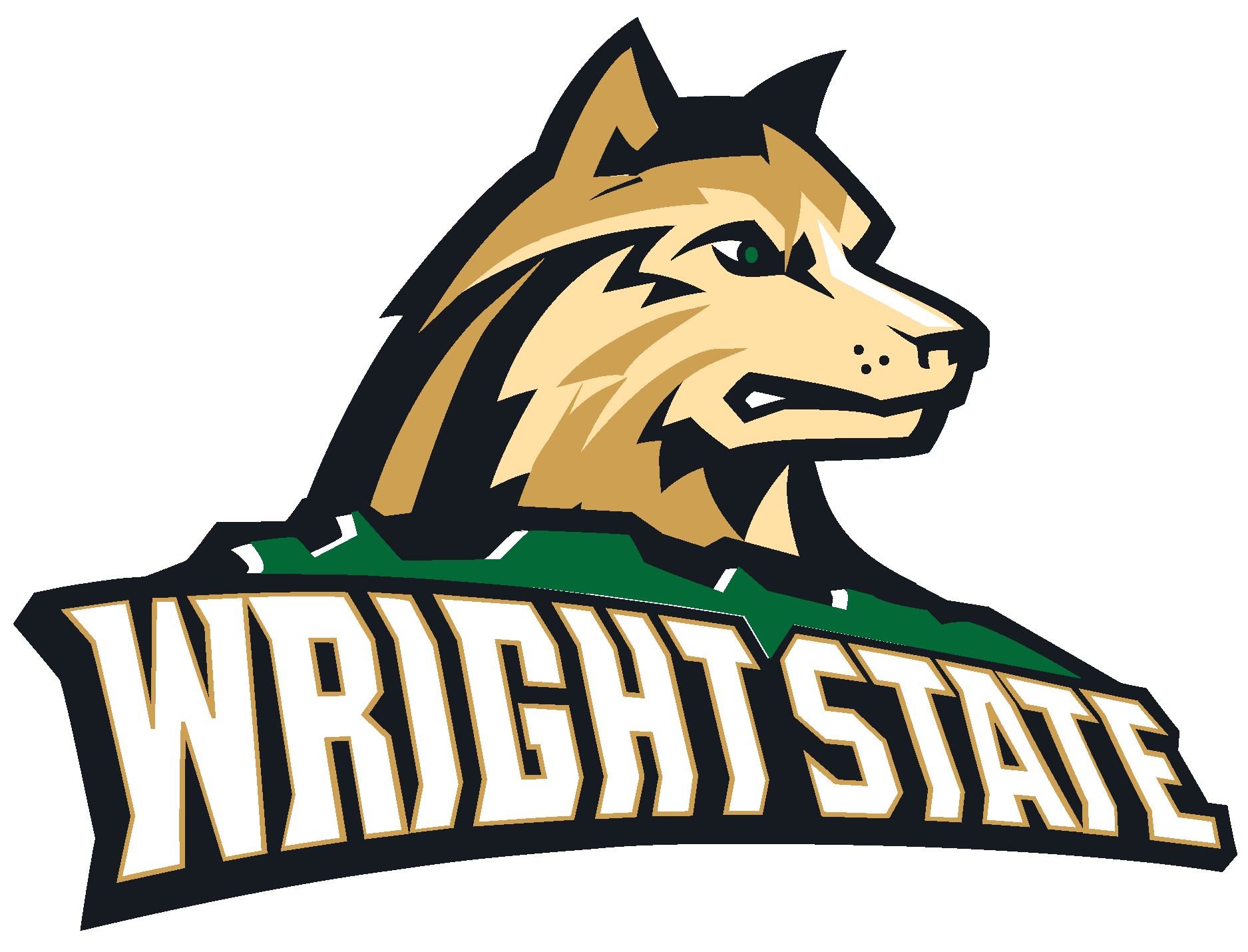 Vintage Wright State Raiders logo - Distressed version - Wright State  Raiders - Sticker