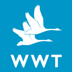 Wwt Logo Vector