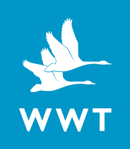 Wwt Logo Vector