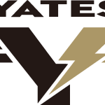 Yates Electrospace Corporation Logo Vector