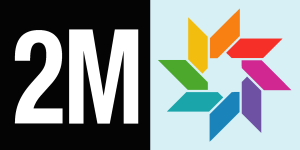 2M tv Logo Vector