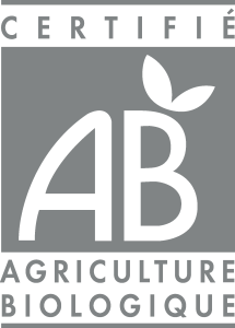 AB Logo Vector