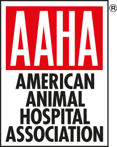 Aaha Logo Vector