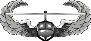Air Assault Coat Of Arms Logo Vector