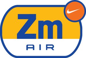 Air Zoom Logo Vector