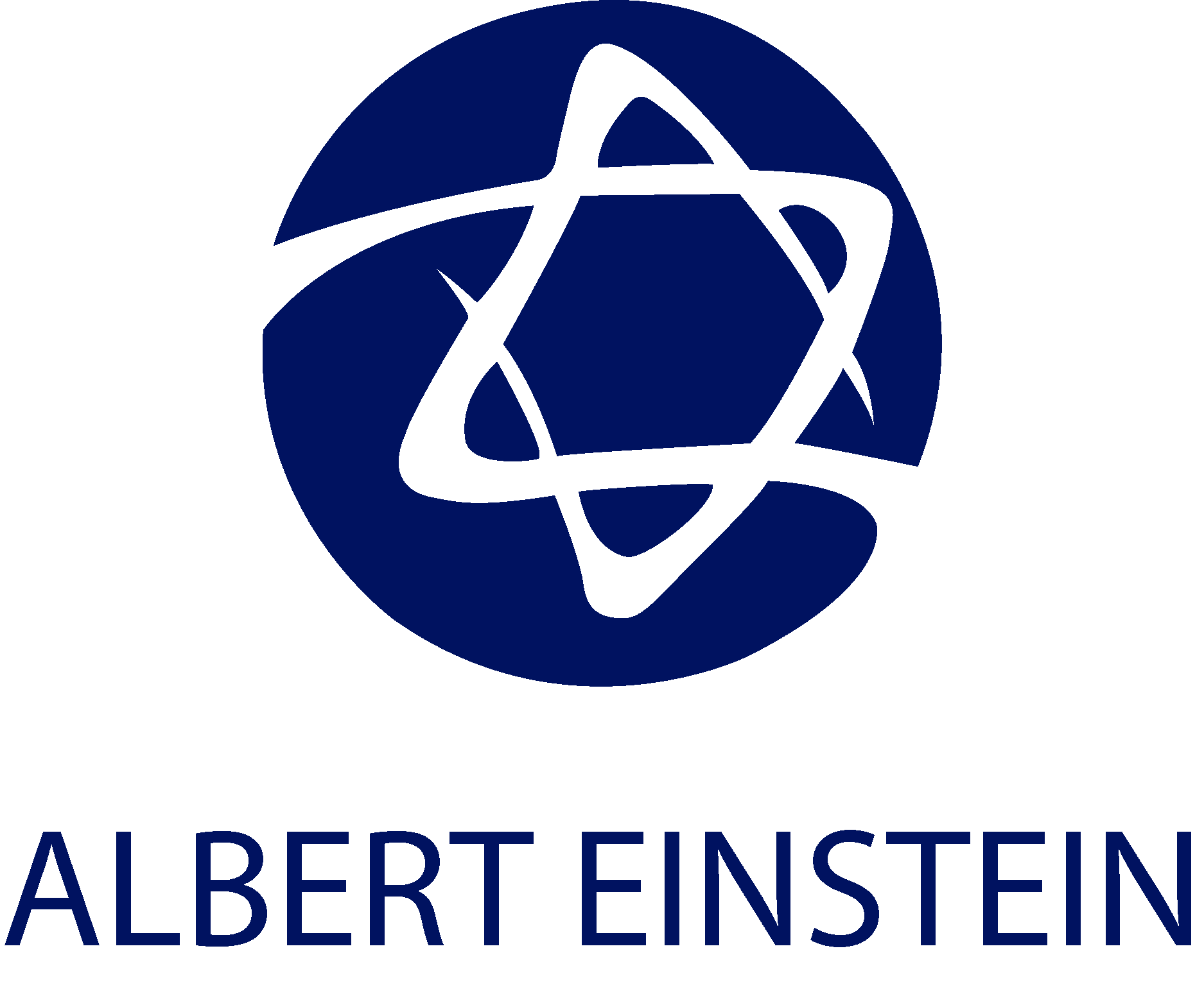 Albert Einstein Logo Vector - (.Ai .PNG .SVG .EPS Free Download)