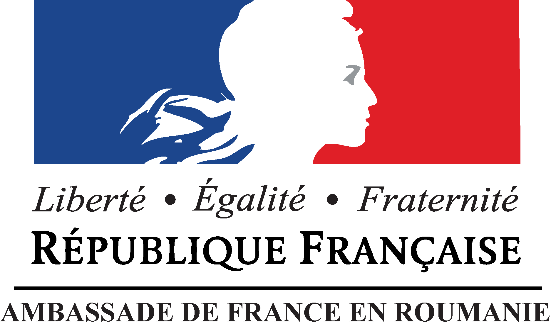 Ambassade de France en Roumanie Logo Vector - (.Ai .PNG .SVG .EPS Free ...