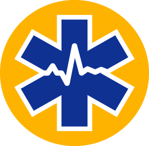 Ambulance Ua Logo Vector