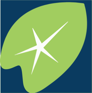 American Savings Bank Icon Logo Vector