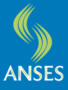 Anses Logo Vector