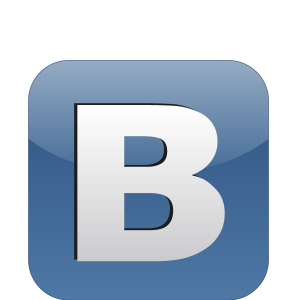 B Vkontakte the Social Network Logo Vector