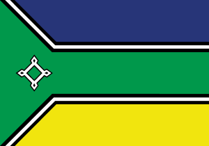 Bandeira Amapa Logo Vector