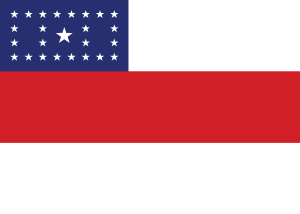 Bandeira Amazonas Logo Vector