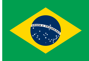 Bandeira Brasil Oficial Logo Vector