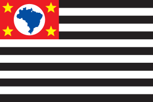 Bandeira Estado De Sao Paulo Medidas Oficiais Logo Vector