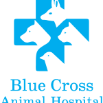 Blue Cross Animal Hospital Logo Vector