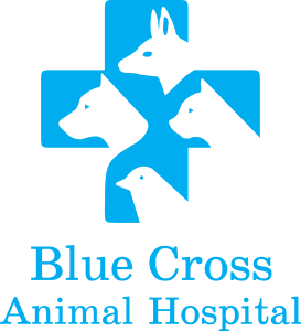 Blue Cross Animal Hospital Logo Vector