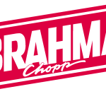 Brahma nova Logo Vector