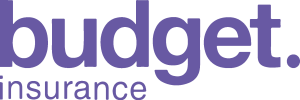 Budget Insurance Logo Vector