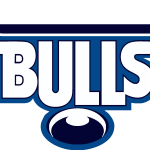 Bulls Logo Vector