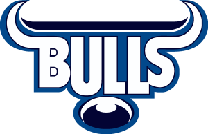 Bulls Logo Vector