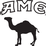 Camel tobacco Logo Vector