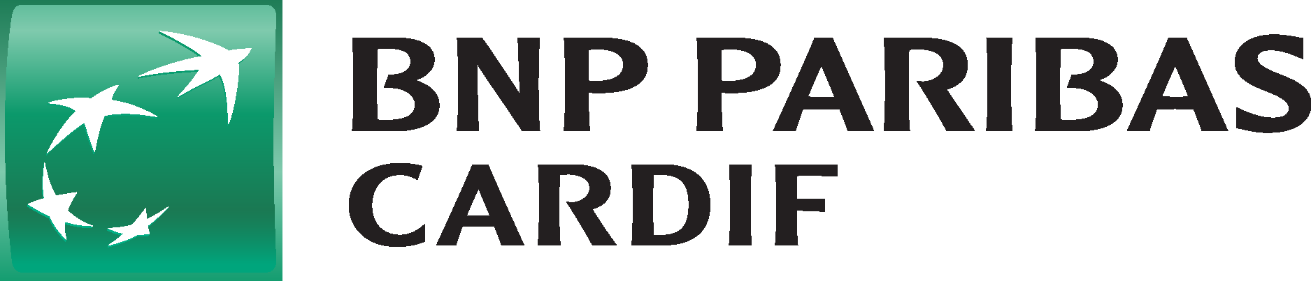 BNP logo - Agence Skills Communication