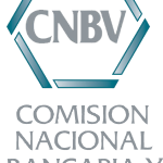 Cnbv Logo Vector