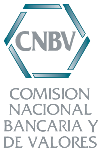 Cnbv Logo Vector