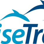 Cruise Travel Belgium Logo Vector