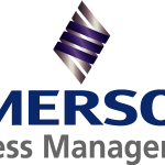 Emerson Process Management Logo Vector