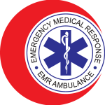 Emr Ambulance Logo Vector