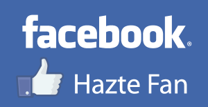 Fan Facebook Logo Vector