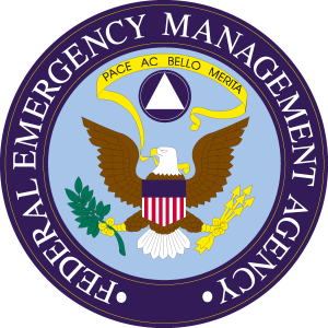 Federal Emergency Management Agency Logo Vector