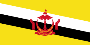 Flag Of Brunei Logo Vector