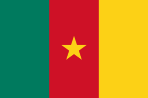 Flag Of Cameroon Logo Vector