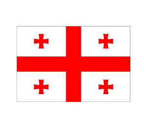 Flag Of Georgia Logo Vector