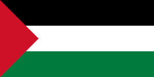 Flag Of Palestine Logo Vector