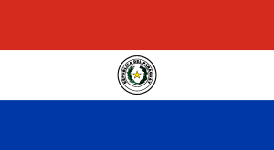 Flag Of Paraguay Logo Vector
