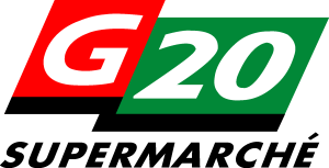 G 20 Logo Vector