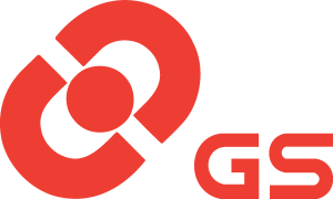 GS Battery Logo Vector