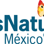 Gas Natural México Logo Vector