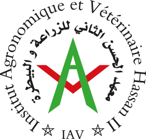 IAV   Maroc Logo Vector