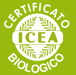 ICEA Logo Vector