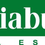 IndiaBulls Logo Vector