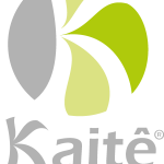 Kaite Brasil Logo Vector