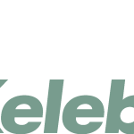 Kelebek Logo Vector