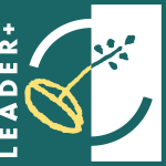 Leader+ Logo Vector