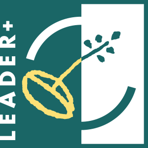 Leader+ Logo Vector