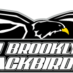 Liu Brooklyn Blackbirds Logo Vector